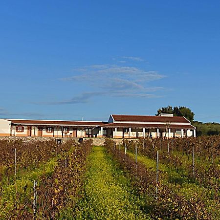 בית הארחה Vila Ruiva  	Turismo Rural Pedremoura מראה חיצוני תמונה