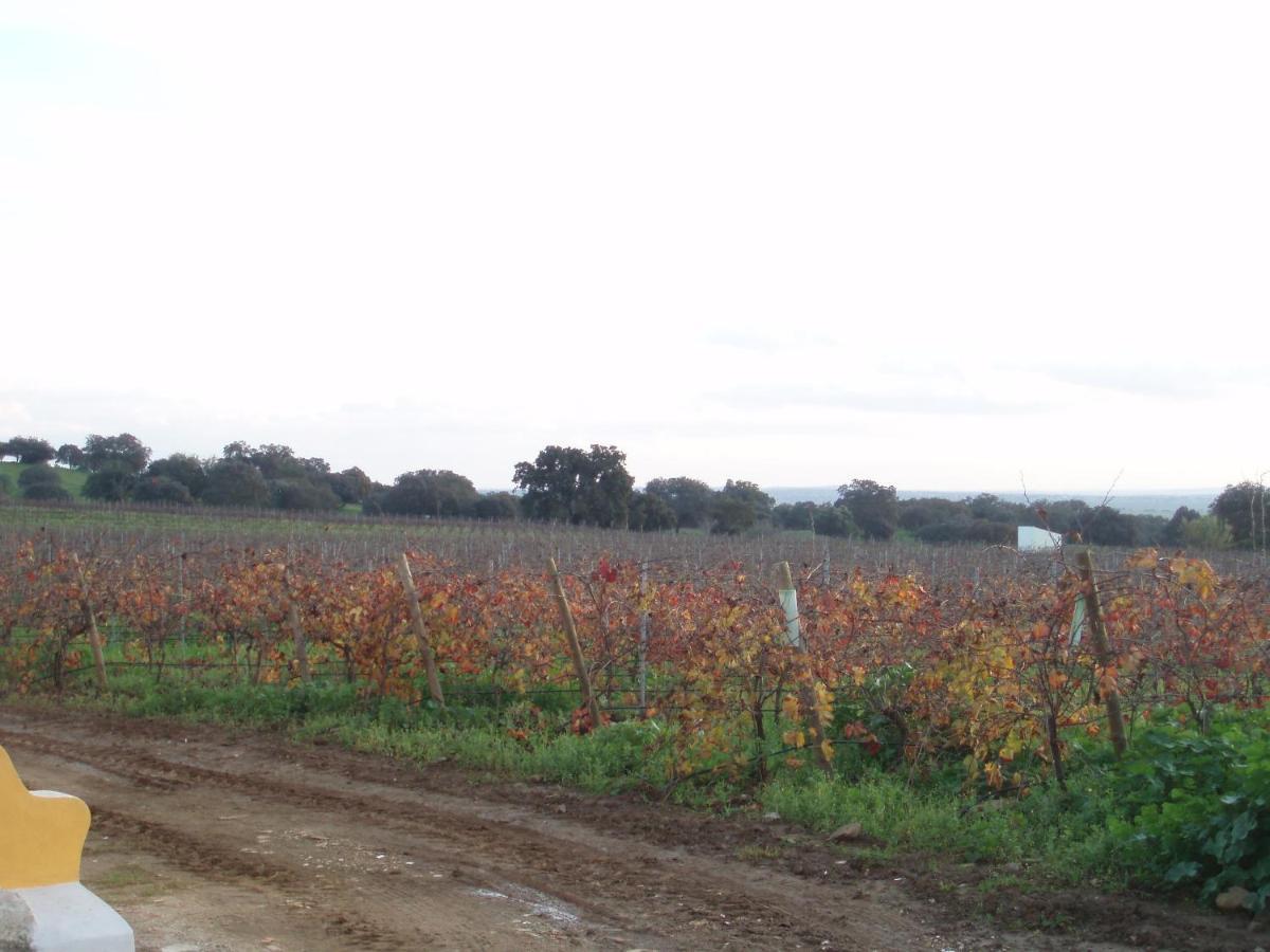 בית הארחה Vila Ruiva  	Turismo Rural Pedremoura מראה חיצוני תמונה